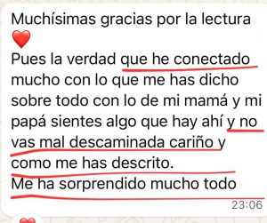 WhatsApp Image 2026-06-08 at 14.01.07-4